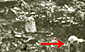 Kriegsmarinewerftgel&auml;nde, Splitterschutzzelle