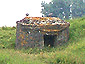 Tobrukstand im Schlafdeich in Schoonorth / Schoonorther Sommerpolder &ouml;stlich von Greetsiel